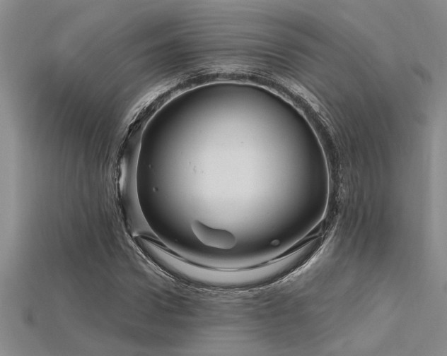 X0000115810922200911131417