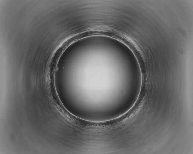 X0000115810923200911131417