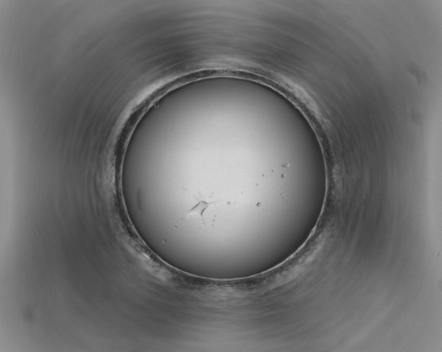 X0000115810931200911131417
