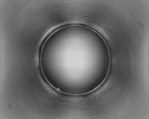 X0000115810934200911131417