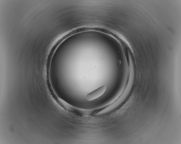X0000115810935200911131417