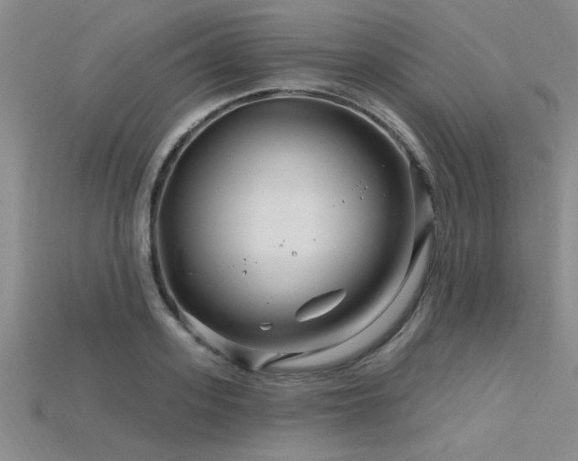 X0000115810939200911131418