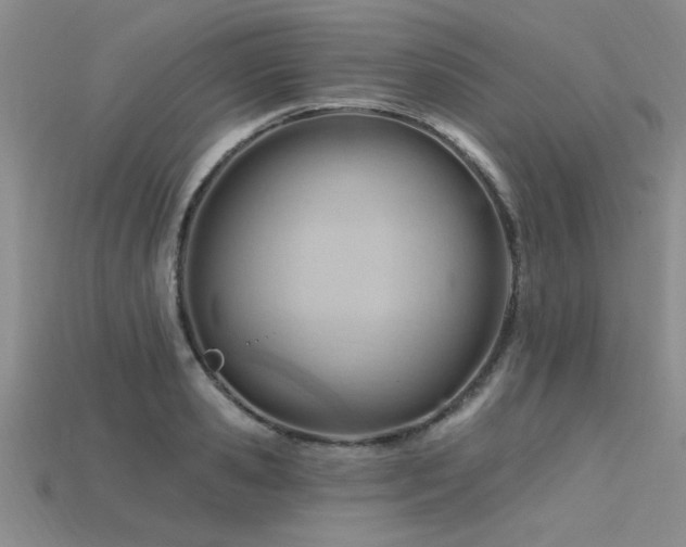 X0000115810941200911131418