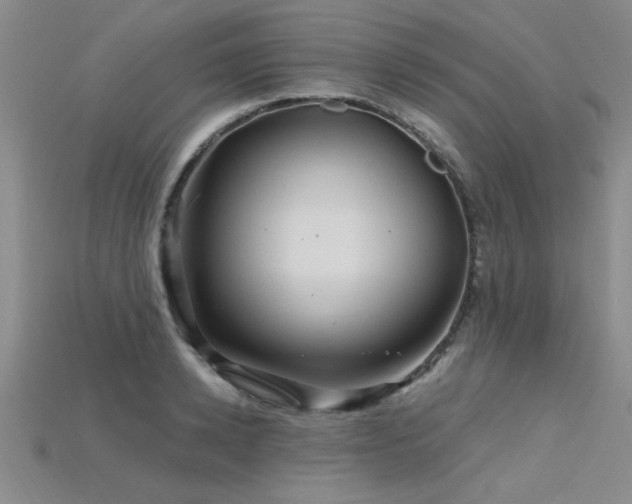 X0000115810942200911131418