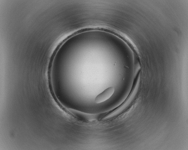 X0000115810943200911131418