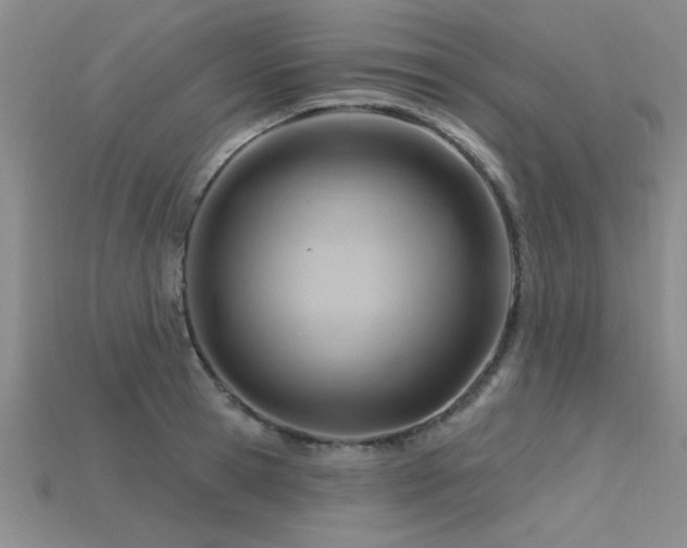 X0000115810945200911131418