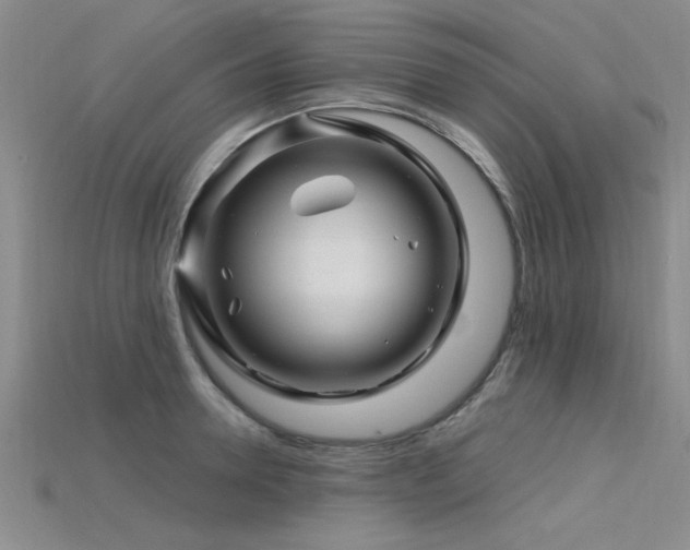 X0000115810946200911131418