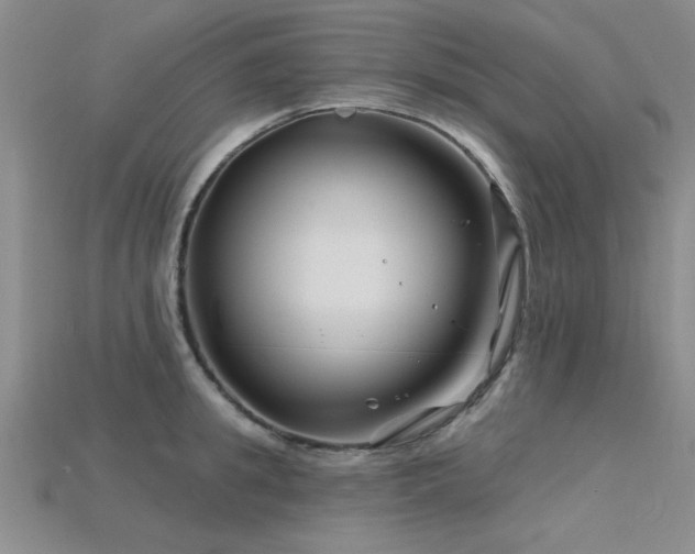 X0000115810949200911131418