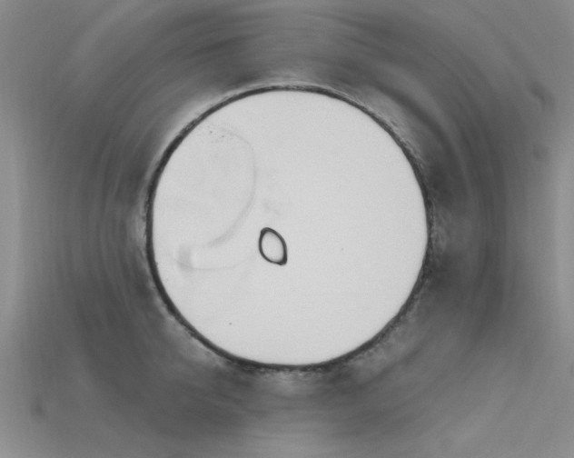 X0000115810950200911131418
