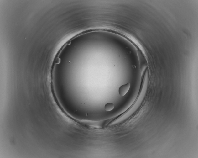 X0000115810951200911131418
