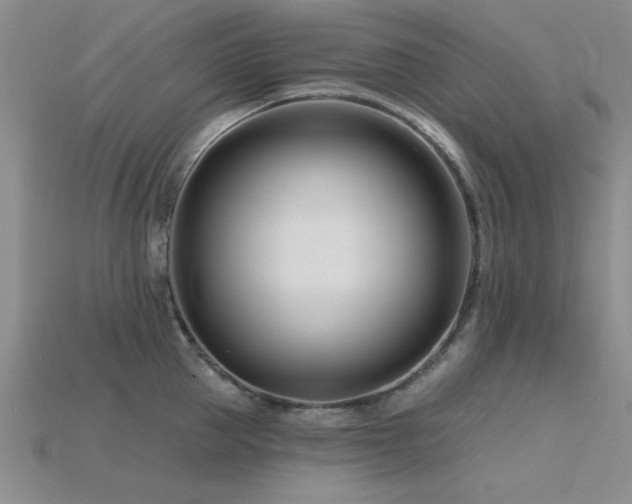 X0000115810953200911131418