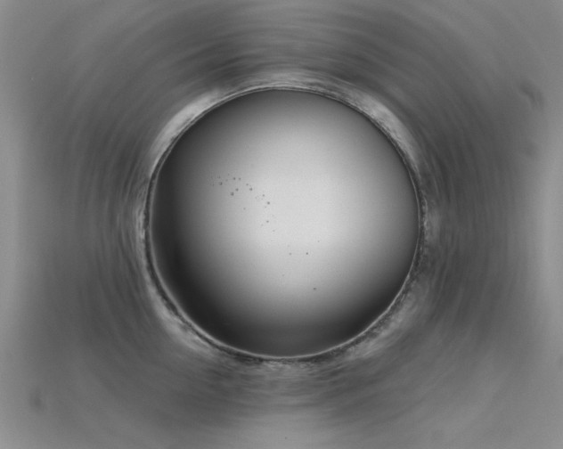 X0000115810954200911131418