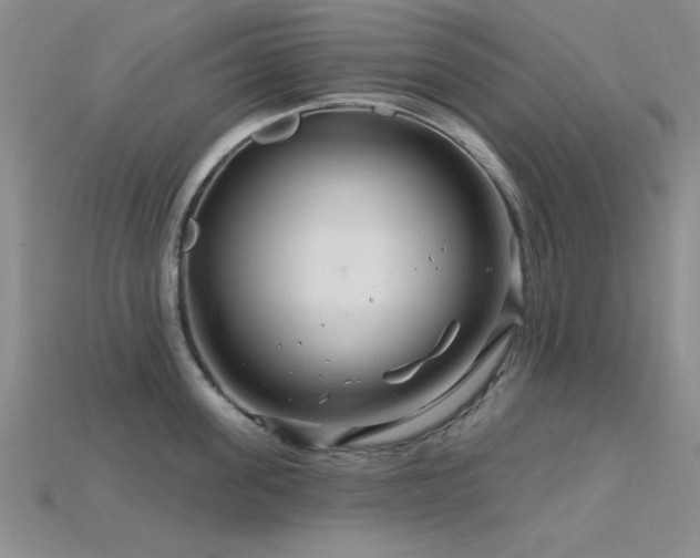 X0000115810955200911131418