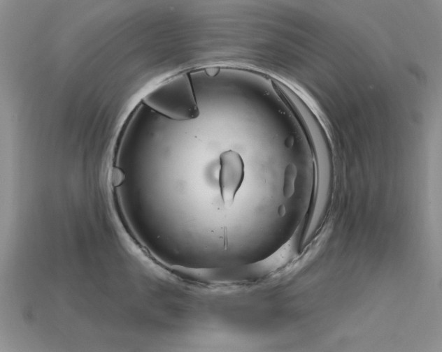 X0000115810957200911131418