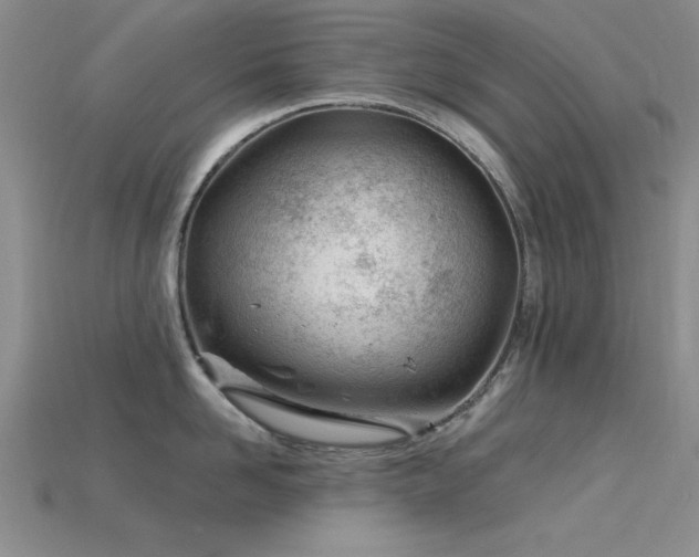 X0000115810958200911131418