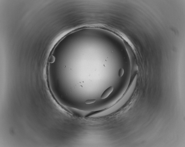 X0000115810959200911131418