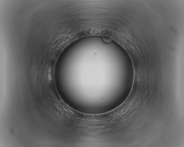 X0000115810962200911131417