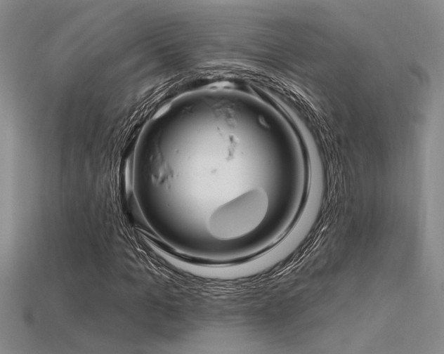 X0000115810965200911131417