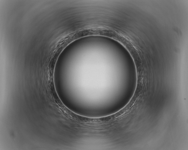 X0000115810966200911131417