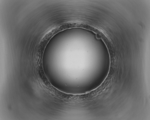 X0000115810967200911131417