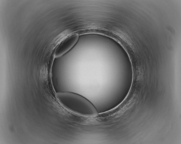 X0000115810969200911131417