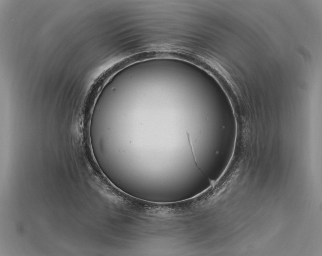 X0000115810971200911131417
