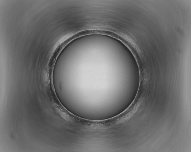 X0000115810974200911131417