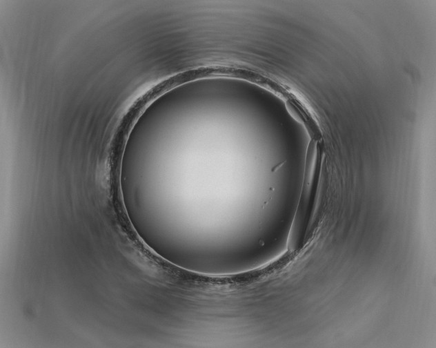 X0000115810975200911131417