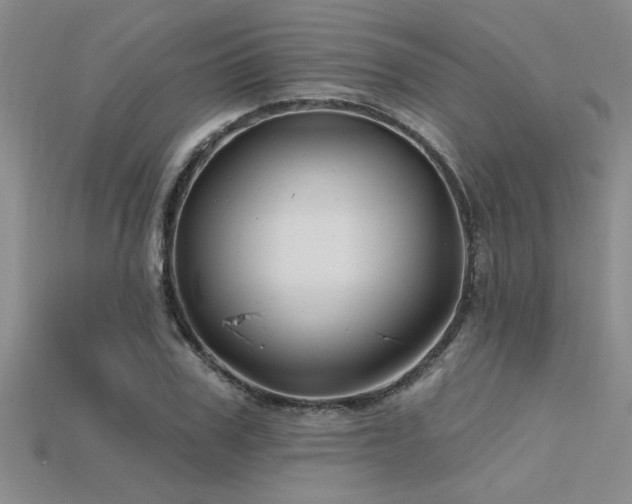 X0000115810979200911131417