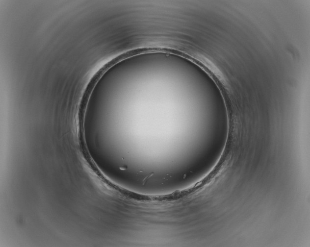 X0000115810980200911131417