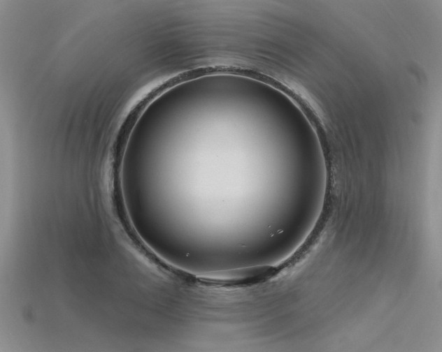 X0000115810983200911131417