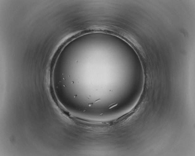 X0000115810984200911131417