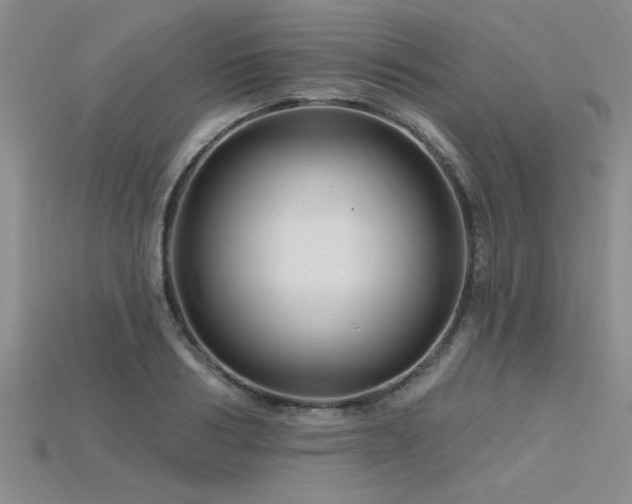 X0000115810986200911131417