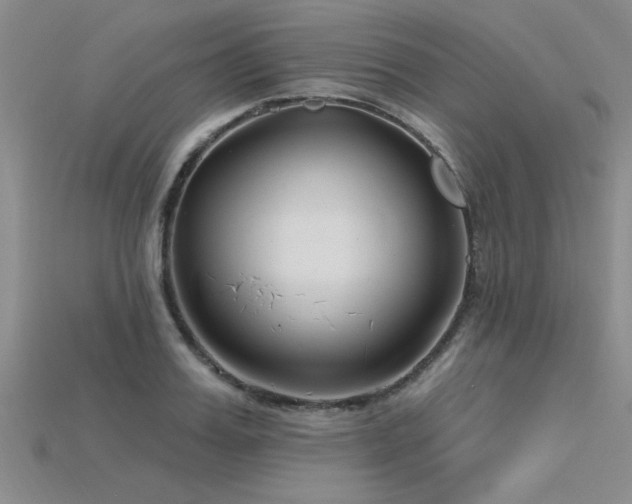 X0000115810987200911131417