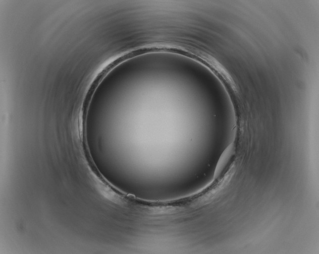 X0000115810988200911131417