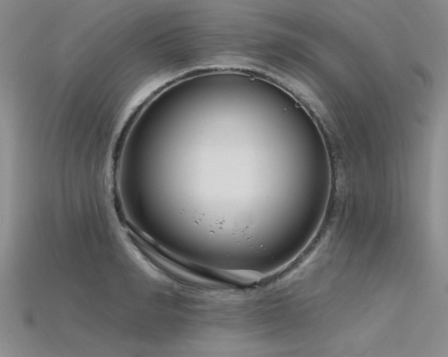 X0000115810990200911131417