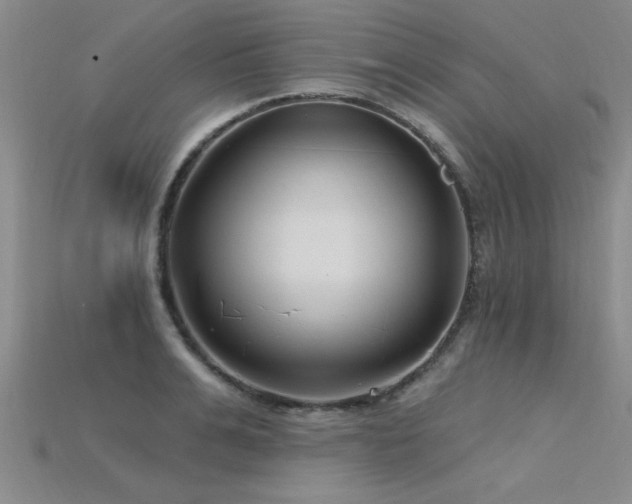 X0000115810991200911131417