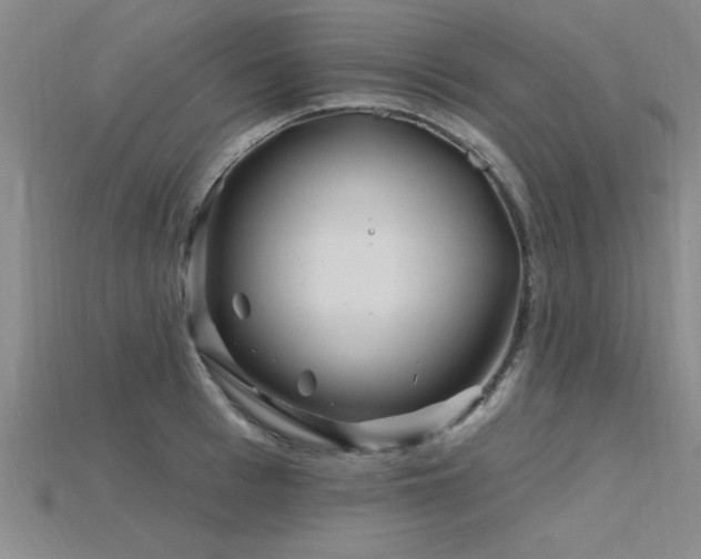 X0000115810993200911131417