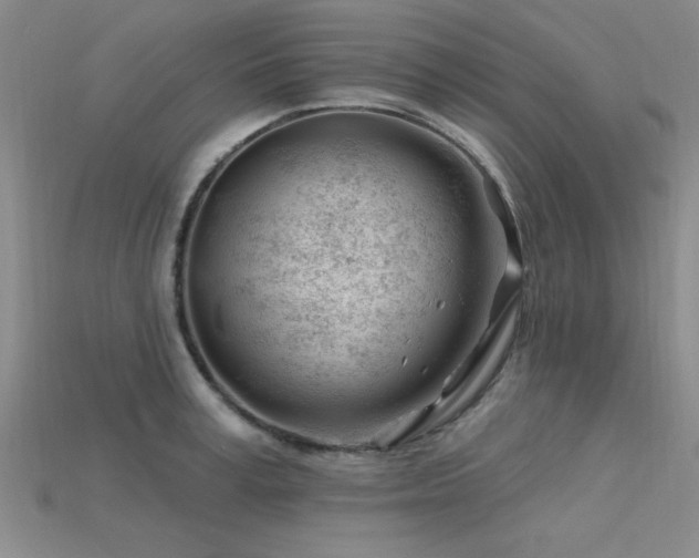 X0000115810995200911131417