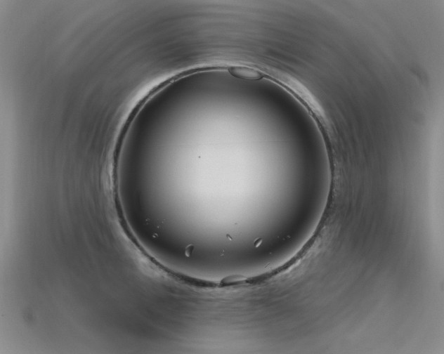 X0000115810996200911131417