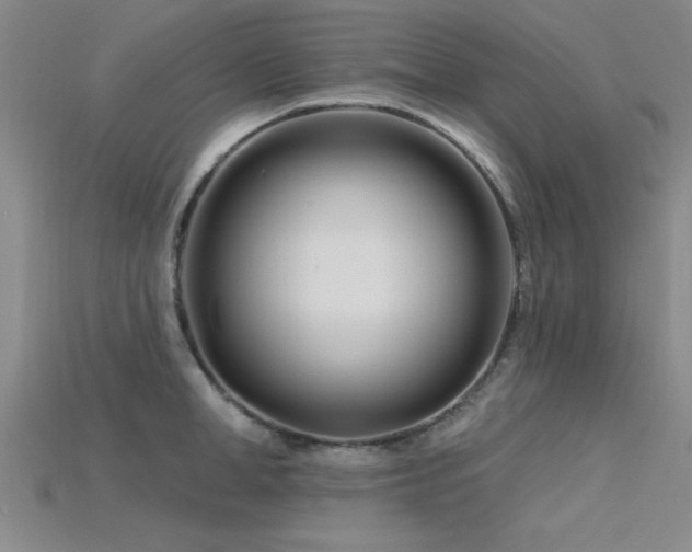 X0000115810998200911131417