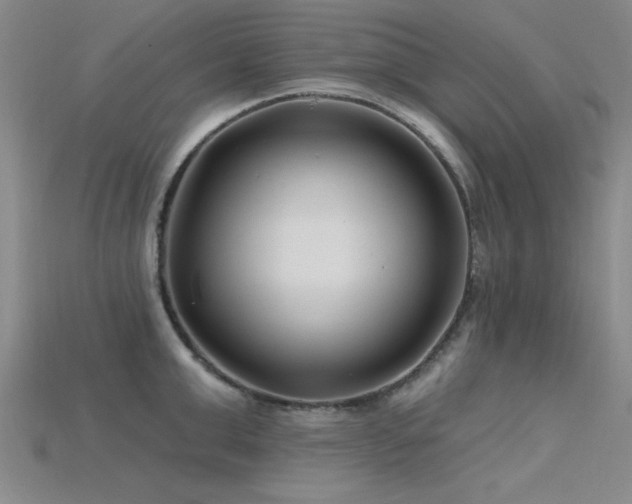 X0000115810999200911131417