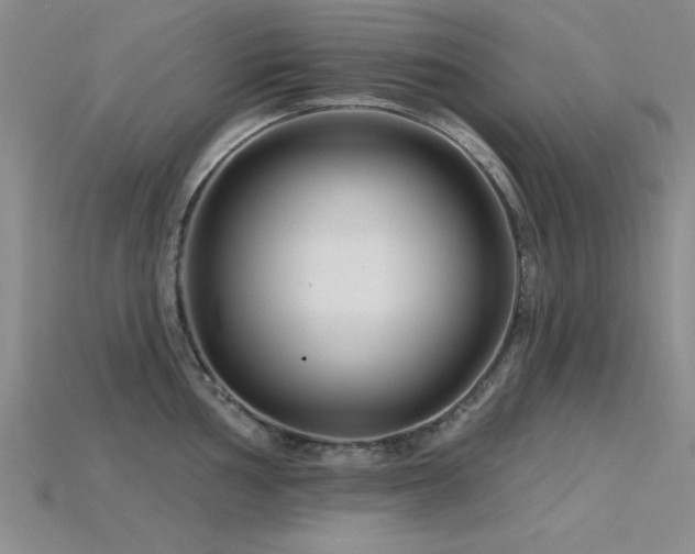 X0000115811002200911131417