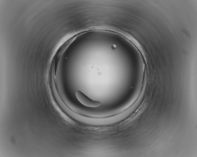 X0000115811005200911131417