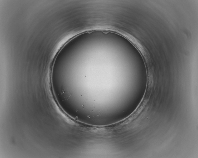 X0000115811006200911131417