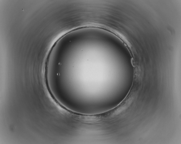 X0000115811007200911131417