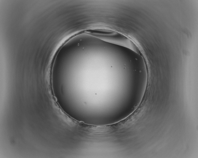 X0000115811008200911131417