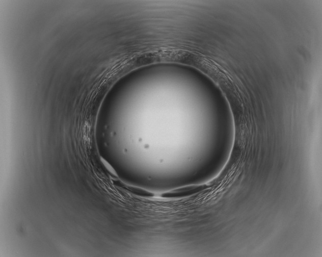 X0000115811010200911131416