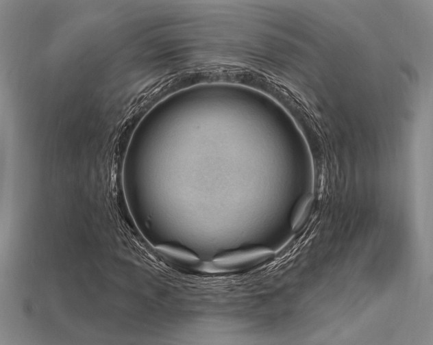 X0000115811013200911131416