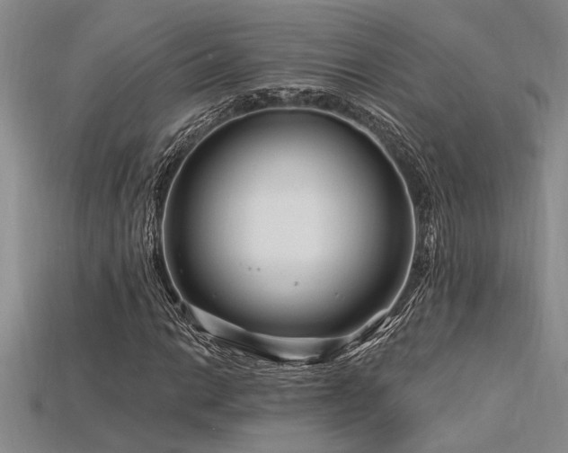 X0000115811014200911131416